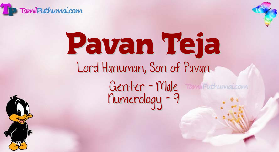 Pavan Teja-babyname-meaning